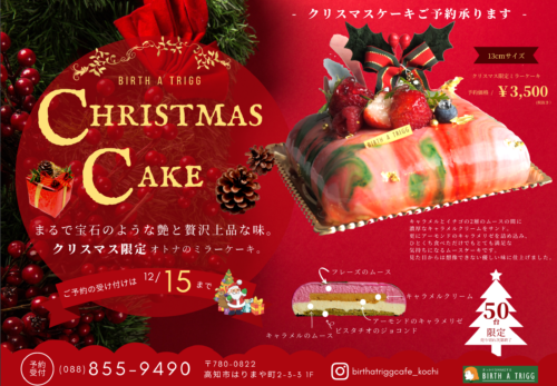 ◆クリスマス限定◆Mirror cake